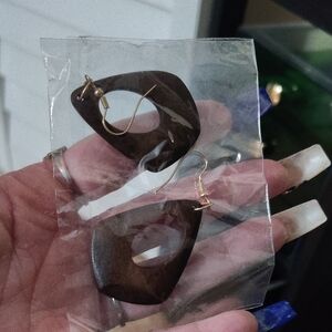 Elegant Brown Wooden Earrings